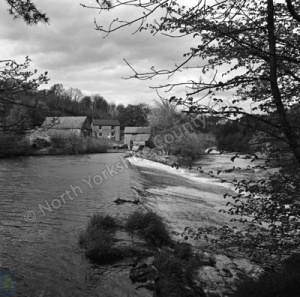 River Nidd, Scotton Weir